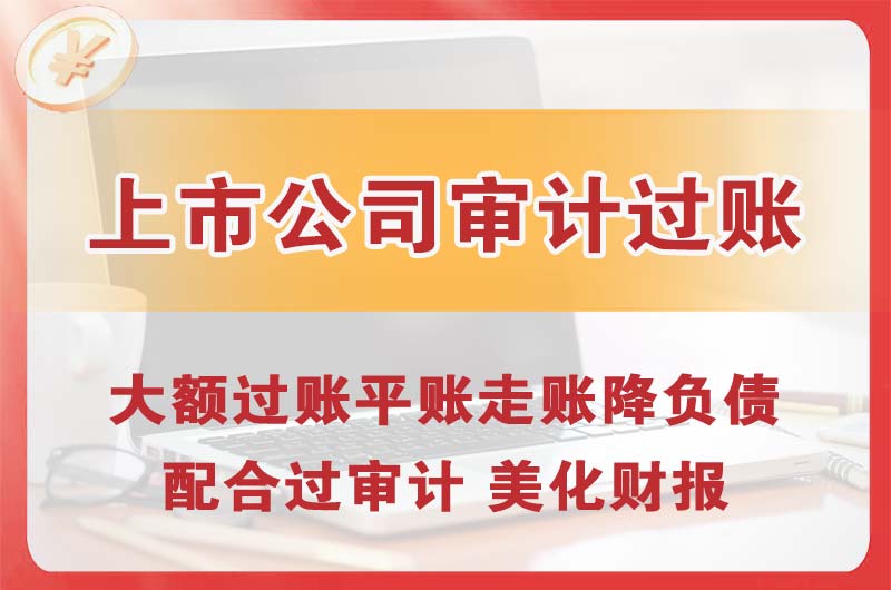 武隆上市公司审计过账